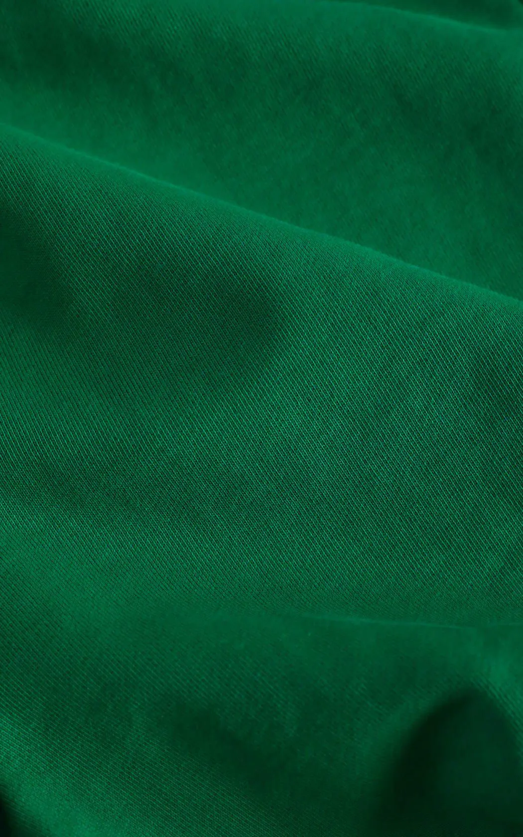Frankie 100% Organic Cotton Sweatshorts - GREEN